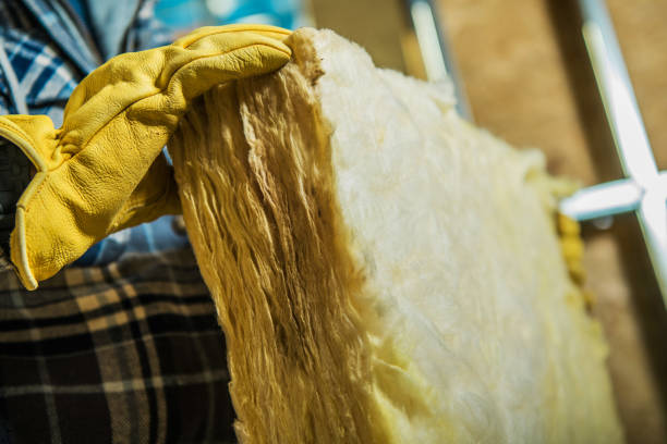 Best Insulation Inspection Services  in Opa Locka, FL